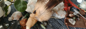 Illuminated Healer Advanced Shamanic Training