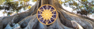illuminated healer shamanic sound healing course and retreat sedona az