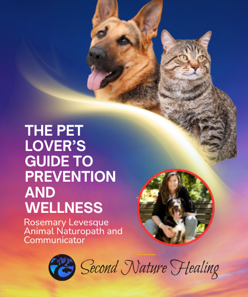 pet lover's guide animal naturopath