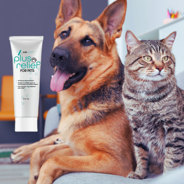 pet plus relief (1) pain relief gel for pets