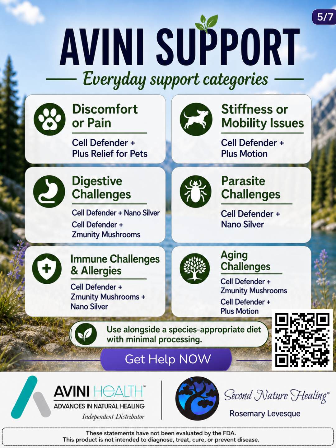 Avini support for pets (1) pet supplements for pain, allergies, aging