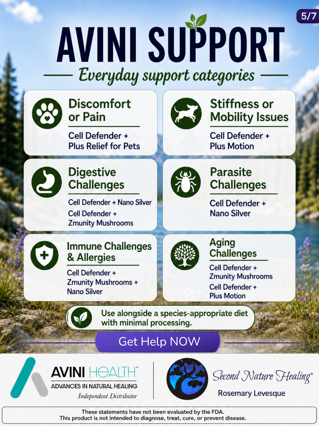 Avini support for pets avini for pets allergies, aging, pain