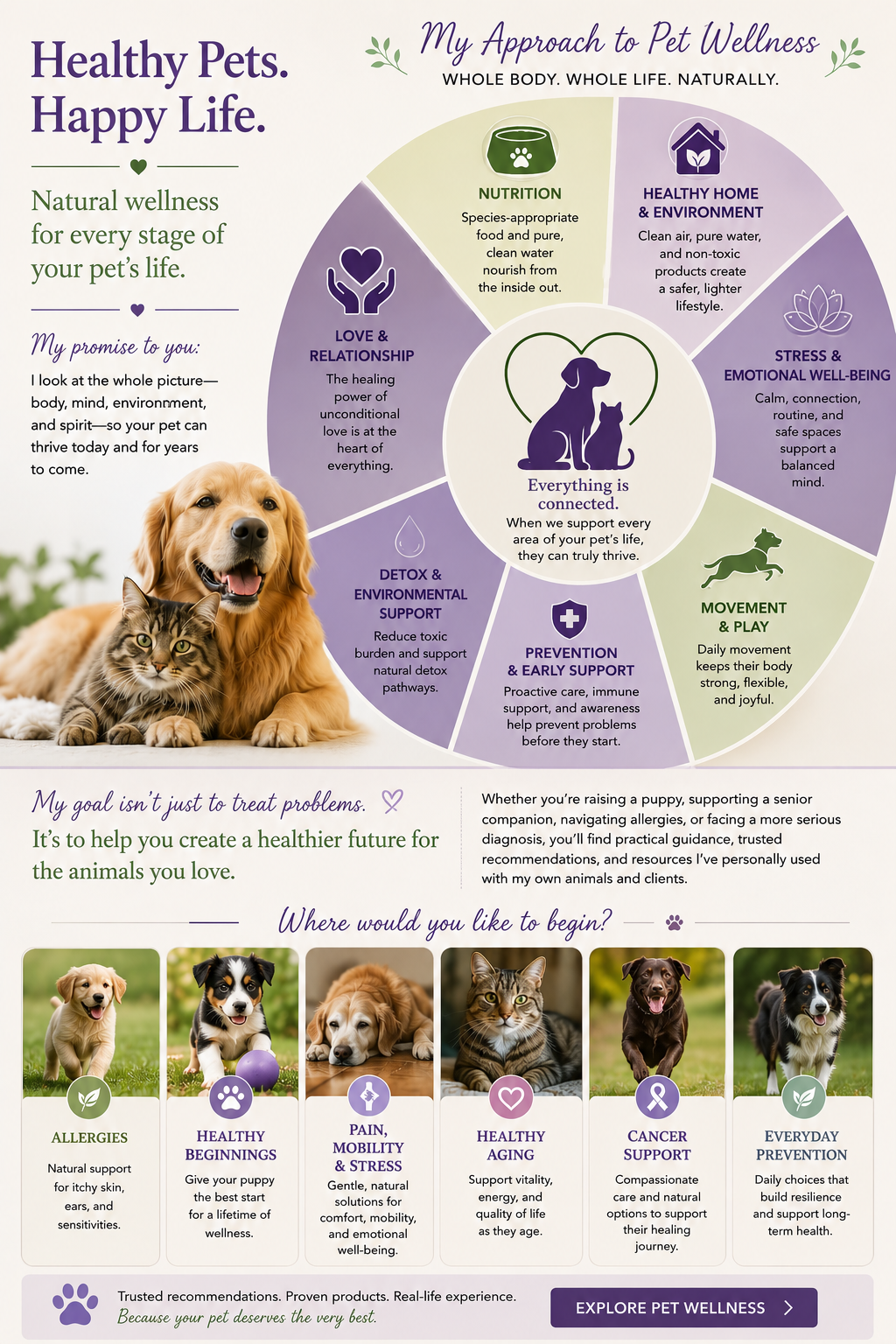 Holistic Pet Wellness pet wellness approach
