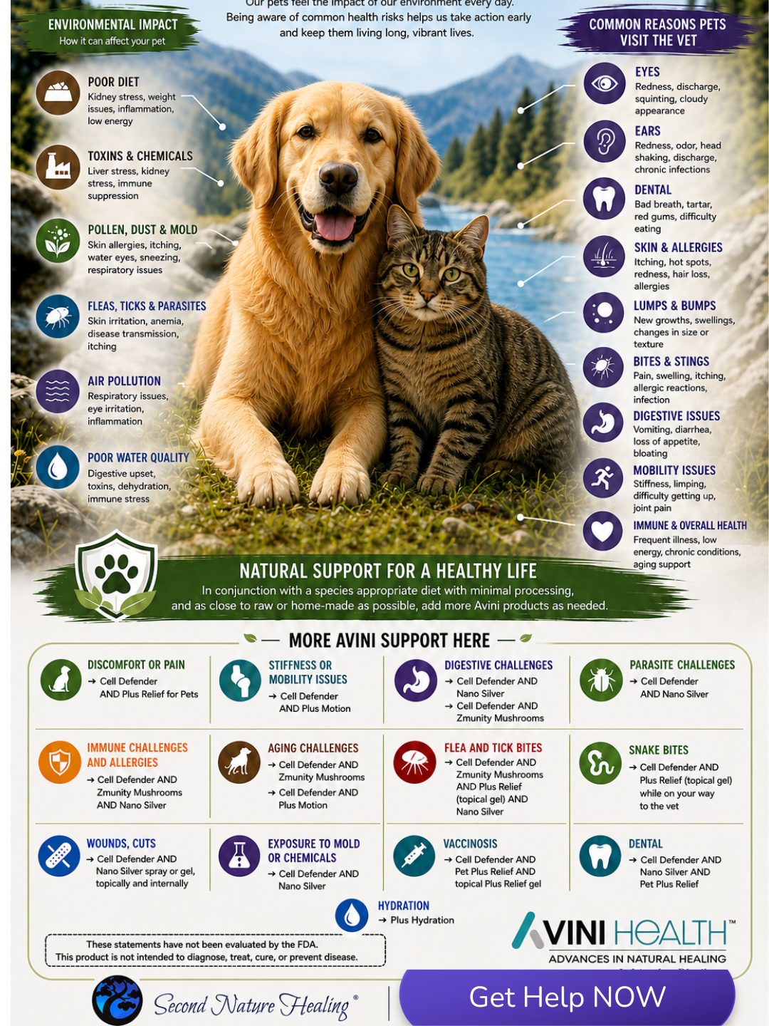 Pet Environmental Impact (1) pet supplements alternatives