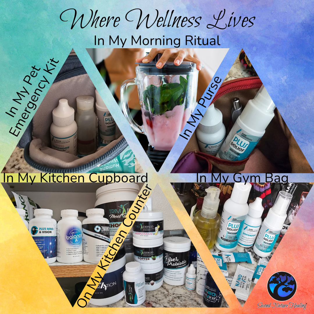 Where Wellness Lives Avini Wellness Experience Lifestyle